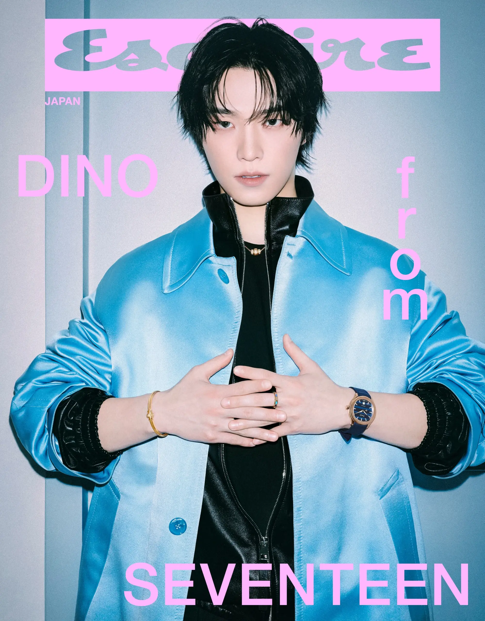 DINO