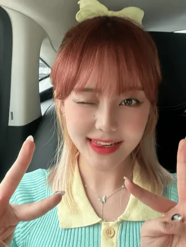 Suji