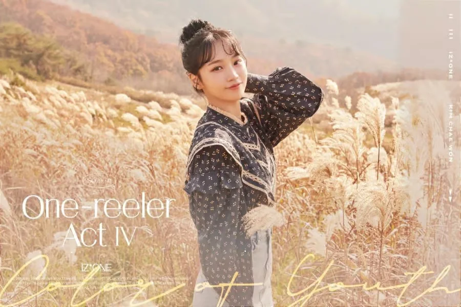 Kim Chae-won