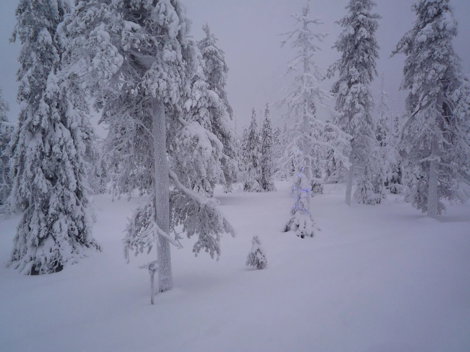 Ruka