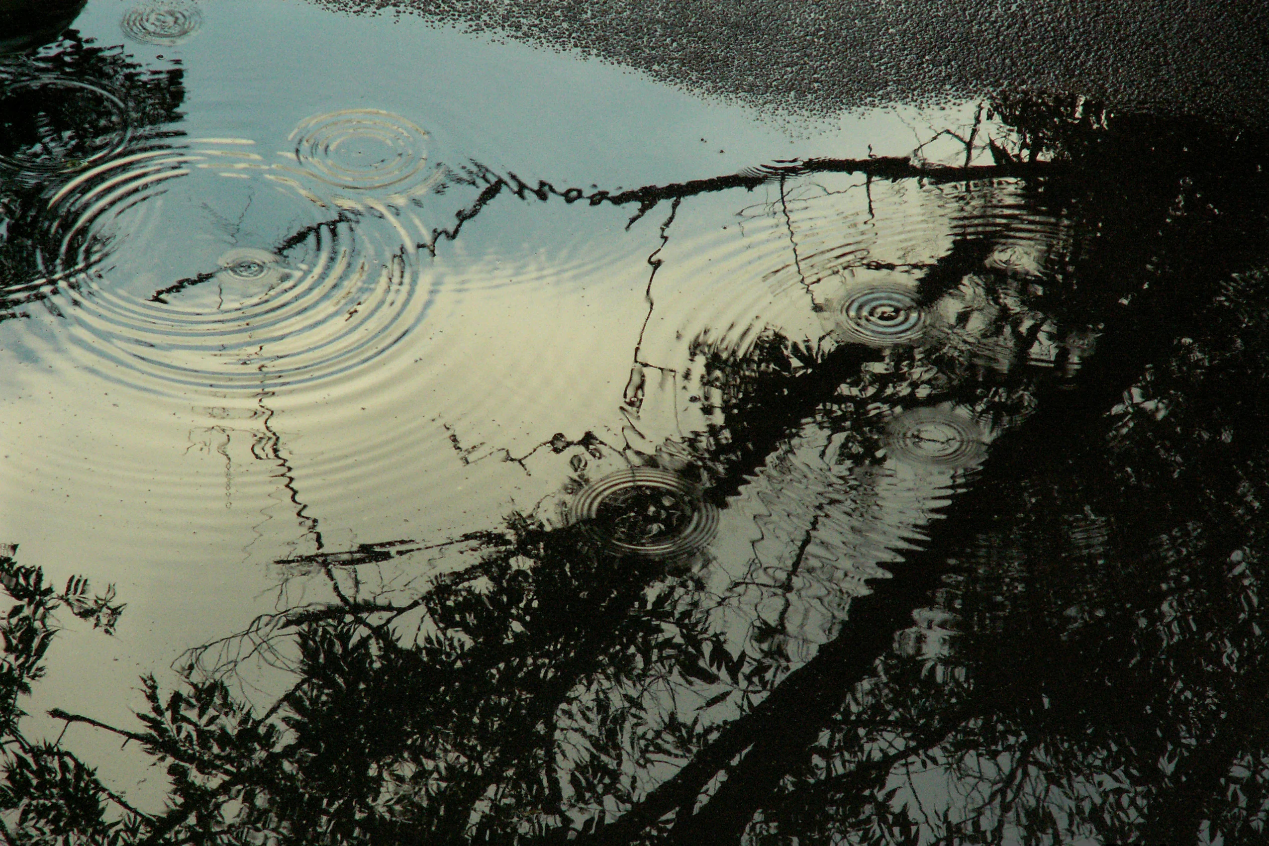 After the Rain