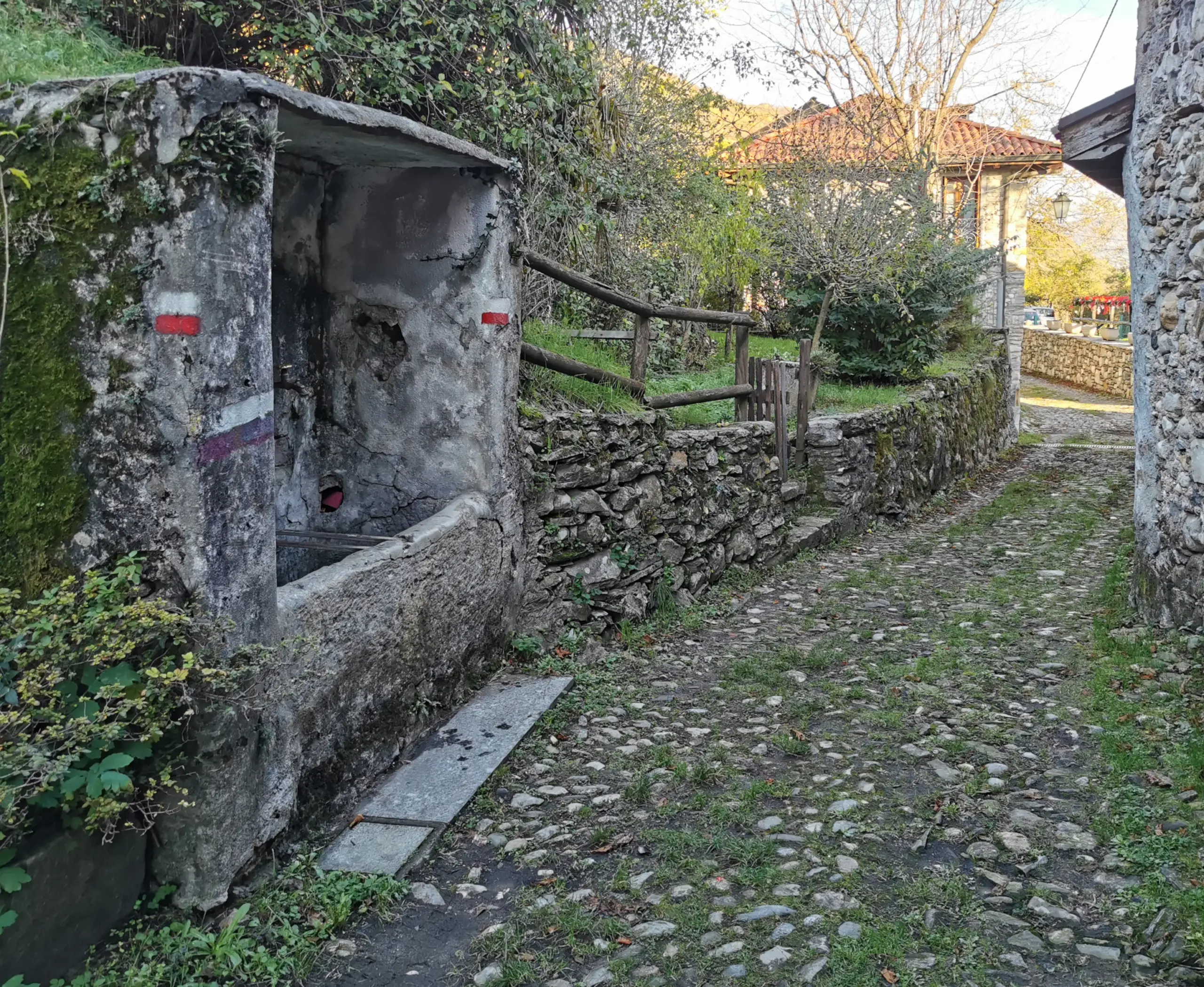 AGA