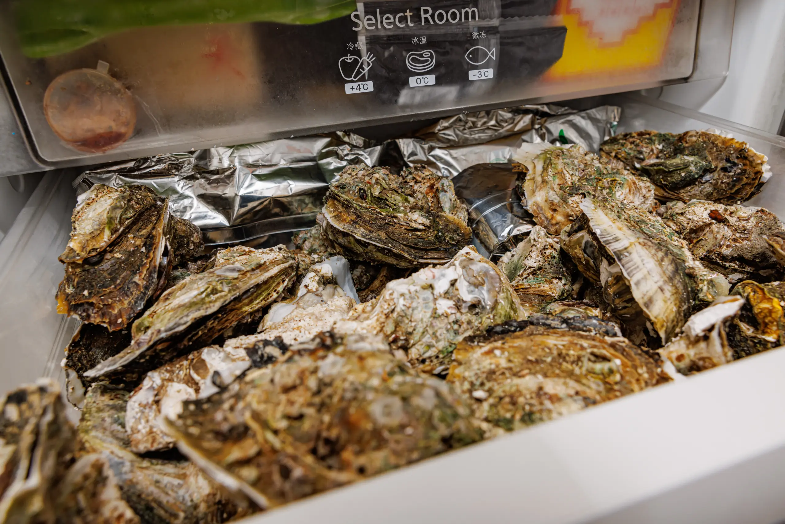 Oyster