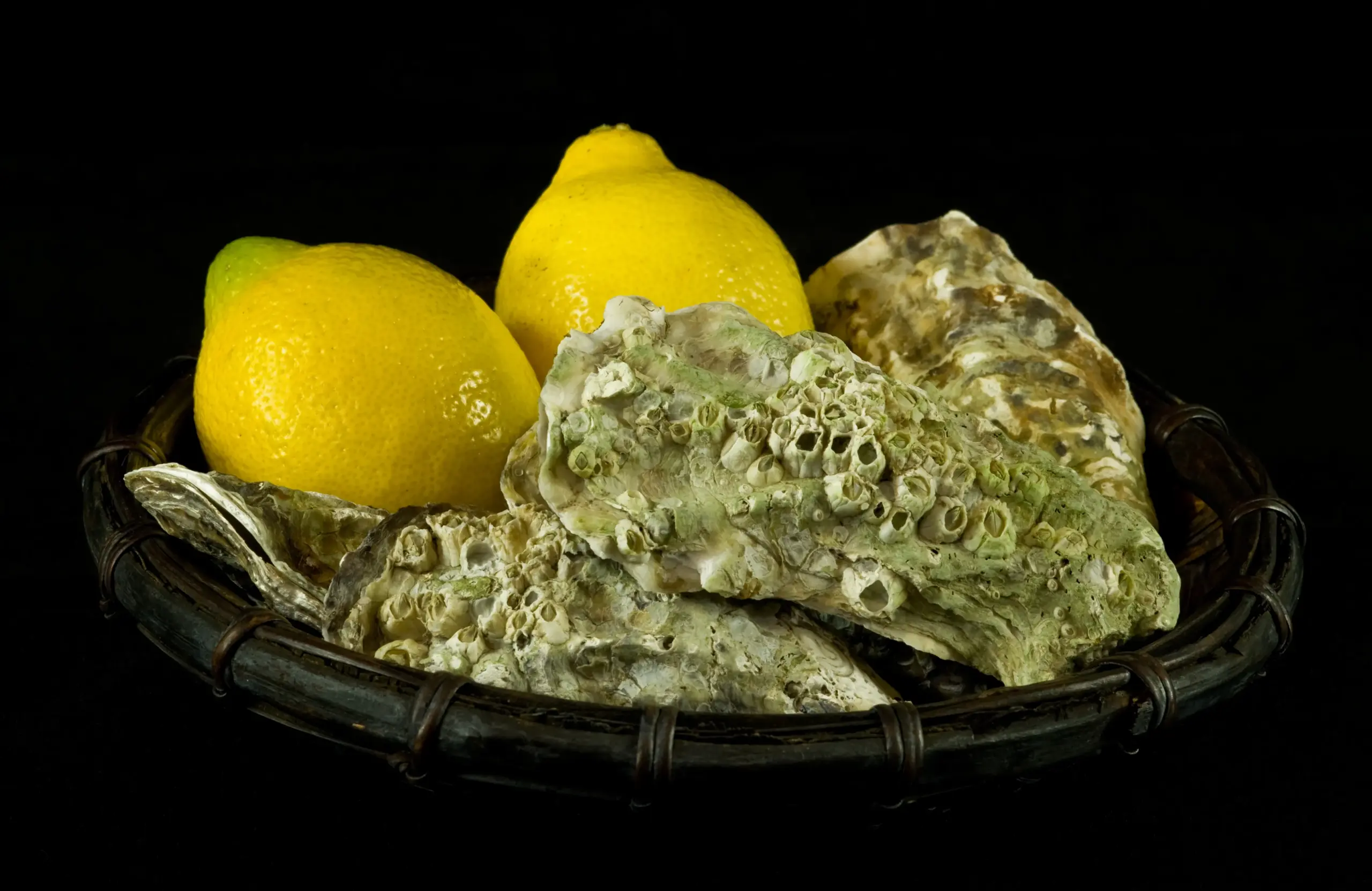 Oyster